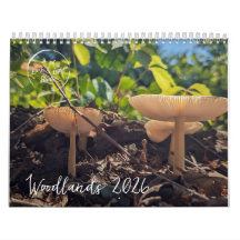 Woodland Mushrooms - Nature Calendar 2026