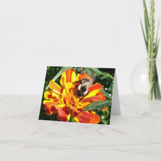 Woodland Note Card Bee
