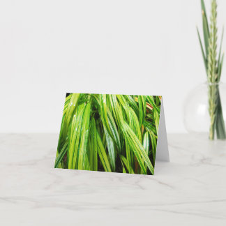 Woodland Note Card - Japanese Forest Grass