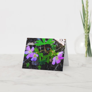 Woodland Note Card Wildflowers