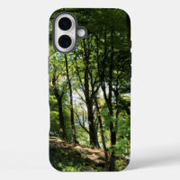 Woodland of Trees Woods Design