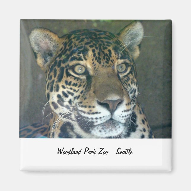 Woodland Park Zoo Cat Magnet (Front)
