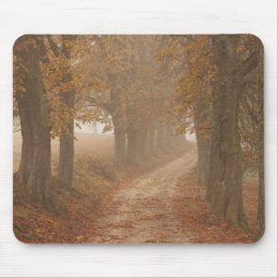 Woodland Path Lined by Autumn Trees Photo Mouse Pad
