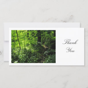Woodland Path - Thank You Card