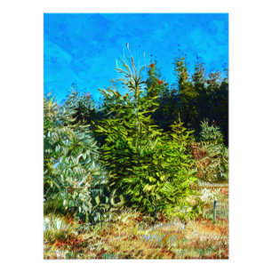 WOODLAND PHOTO PRINT