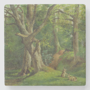 Woodland Scene with Rabbits, 1862 (oil on canvas) Stone Coaster