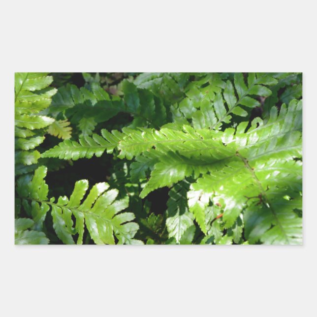 Woodland Spring Green Ferns Rectangular Sticker (Front)
