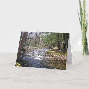 "Woodland Stream II" Thank You Card