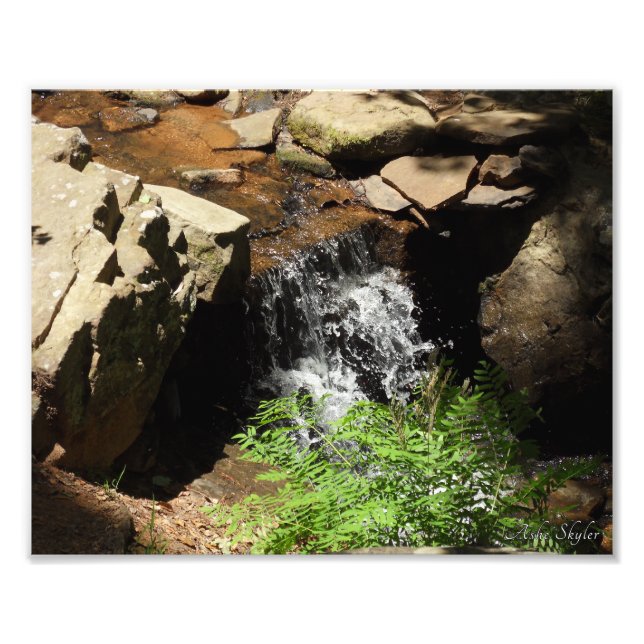 Woodland Stream Photo Print (Front)