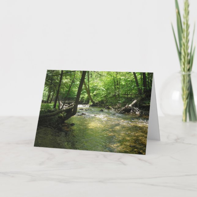 "Woodland Stream" Thank You Card (Front)