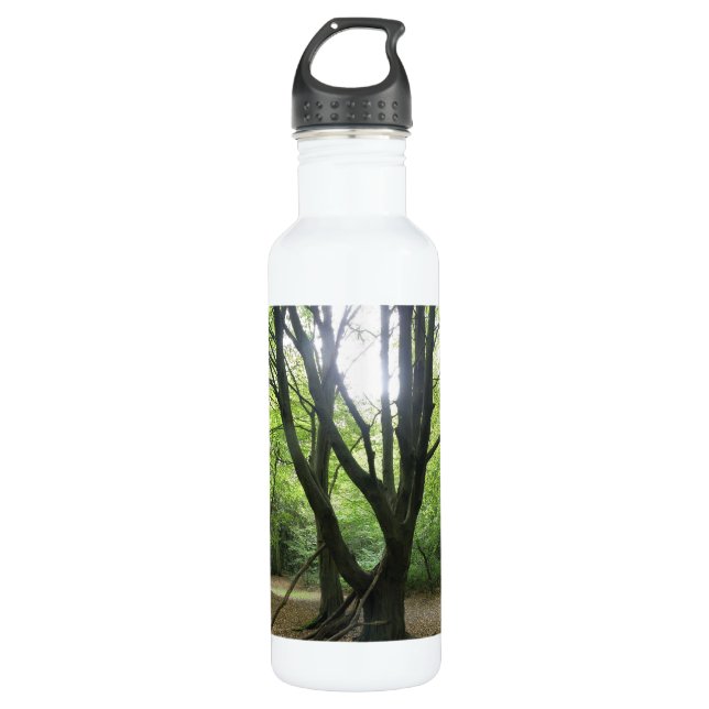 Woodland Sunshine 710 Ml Water Bottle (Front)
