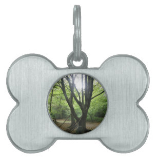 Woodland Sunshine Pet Tag