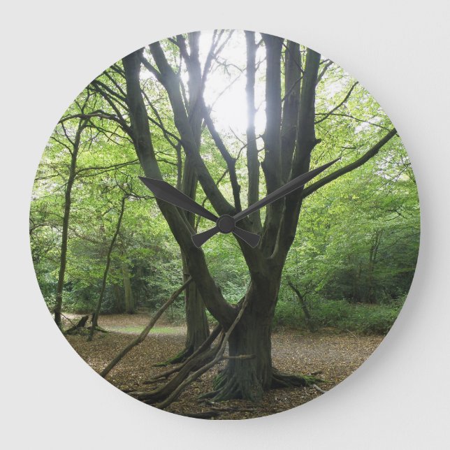 Woodland Sunshine Wall Clock (Front)
