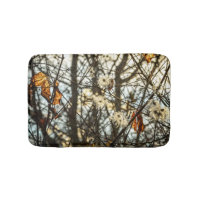 Woodland Tapestry Autumn Nature