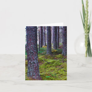 Woodland trees Greeting card