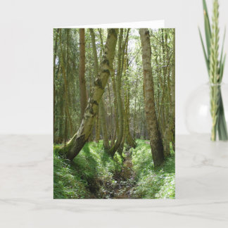 Woodland trees - greeting cards