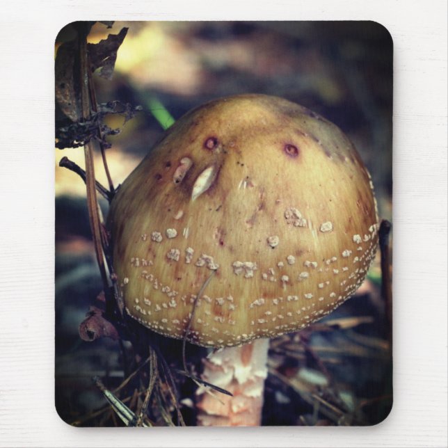 Woodland Wild Mushroom Nature  Mouse Pad (Front)
