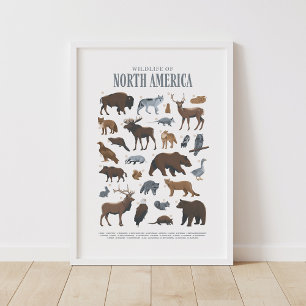 Woodland Wildlife Animals Kids Room Nursery Decor