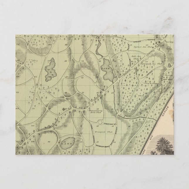 Woodlawn Cemetery Postcard (Front)