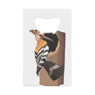 woodpecker