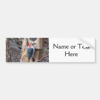 Woodpecker at Bird Feeder Bumper Sticker
