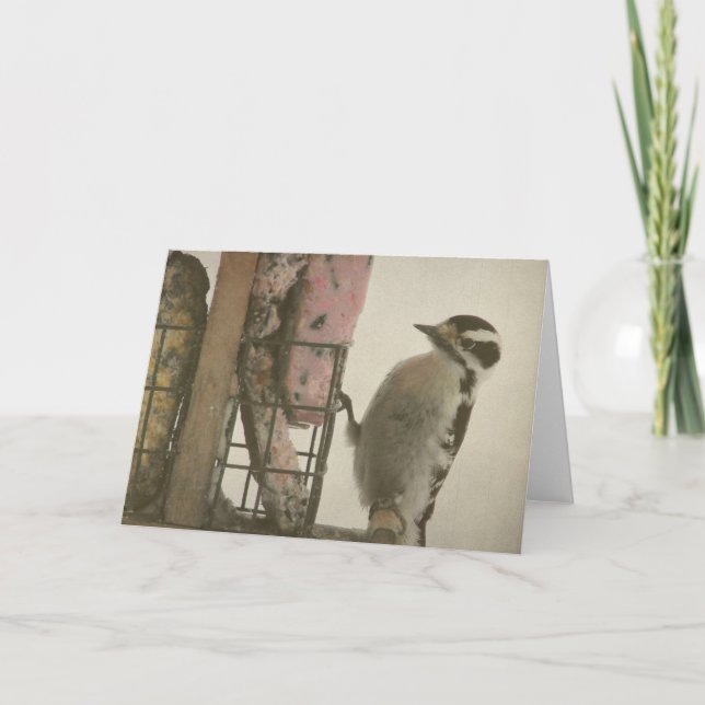 Woodpecker Card (Front)