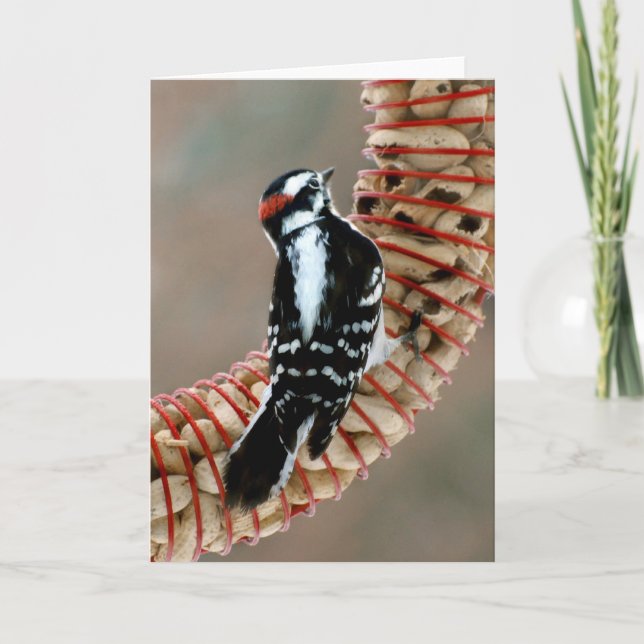 Woodpecker Card (Front)