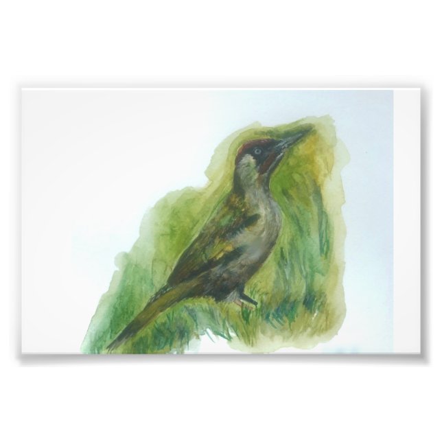Woodpecker garden bird water-color print  (Front)