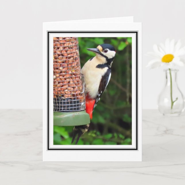 Woodpecker Greetings Card (Small Plant)