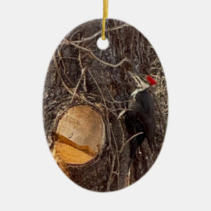 Woodpecker in Tree Photo Ornament