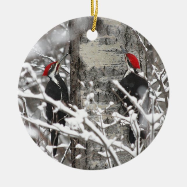 Woodpecker In Winter Ceramic Ornament (Front)