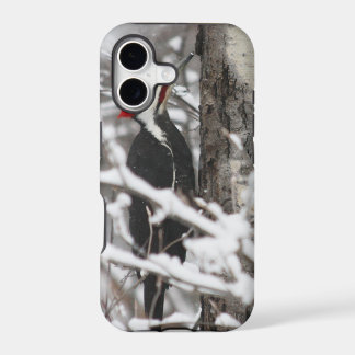 Woodpecker - iPhone 5 Case