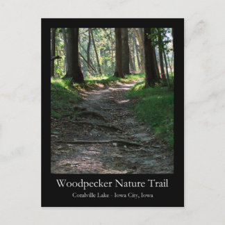 Woodpecker Nature Trail Postcard
