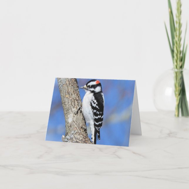 Woodpecker on a Shagbark tree blank inside Card (Front)