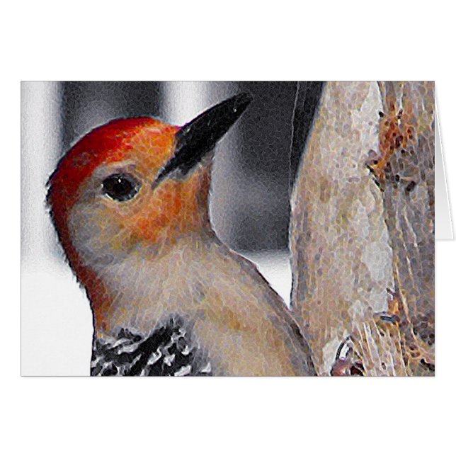 Woodpecker Portrait (Front Horizontal)