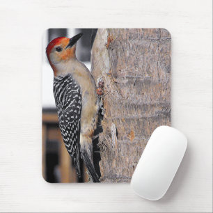 Woodpecker Portrait Mouse Pad