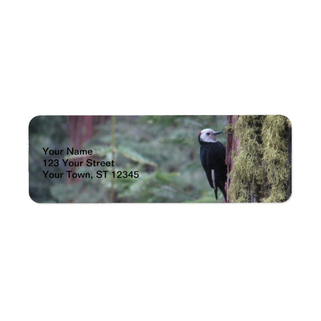 Woodpecker- Yosemite Return Address Label (Front)