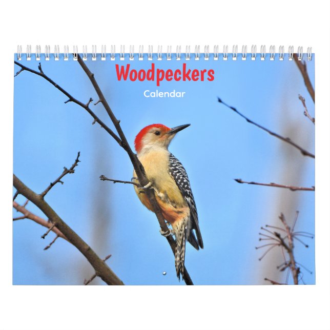 Woodpeckers Calendar (Cover)