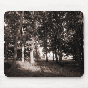 Woods Bute Park, Cardiff II Mouse Pad