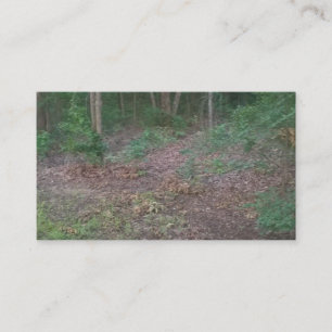 Woods Forest Trees Nature Green Business Cards