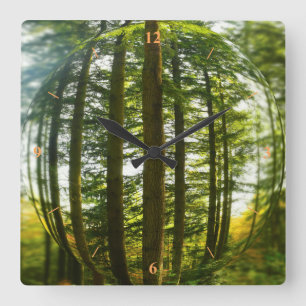 Woods through the eye of a fish square wall clock