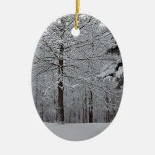 Woods View Ceramic Ornament