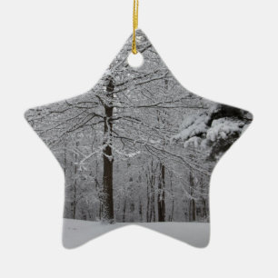 Woods View Ceramic Ornament