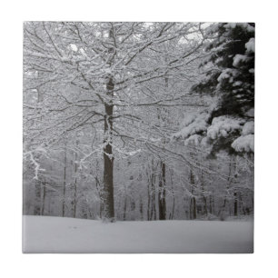 Woods View Ceramic Tile