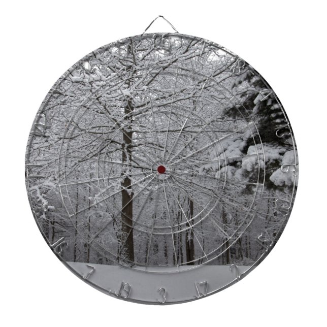 Woods View Dartboard (Front)