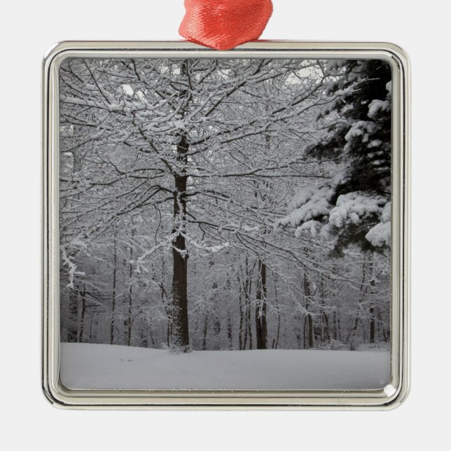 Woods View Metal Ornament (Front)