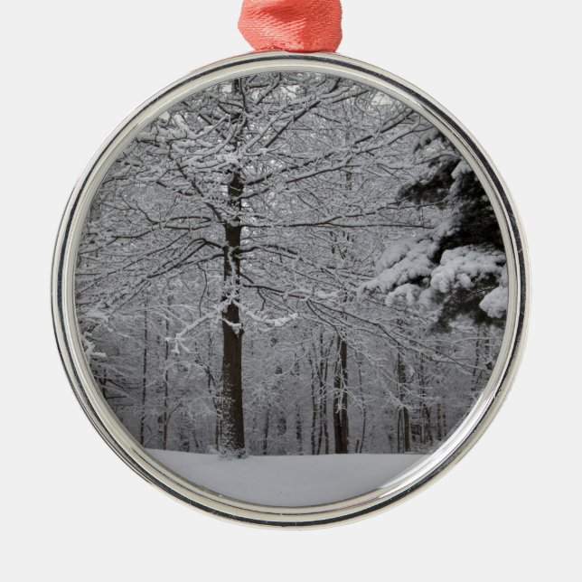 Woods View Metal Tree Decoration (Front)