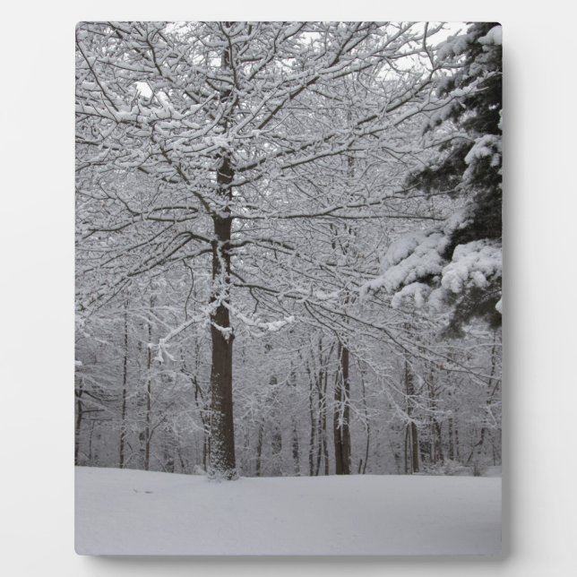 Woods View Plaque (Front)