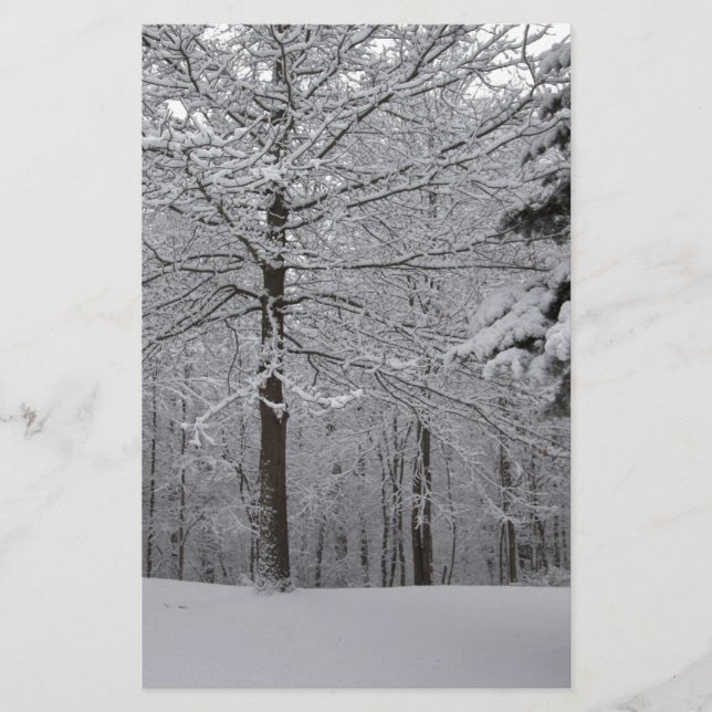 Woods View Stationery (Front)