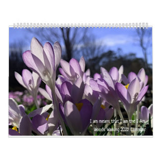 Woods Walking 2022 Calendar